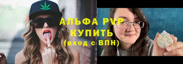 spice Арсеньев