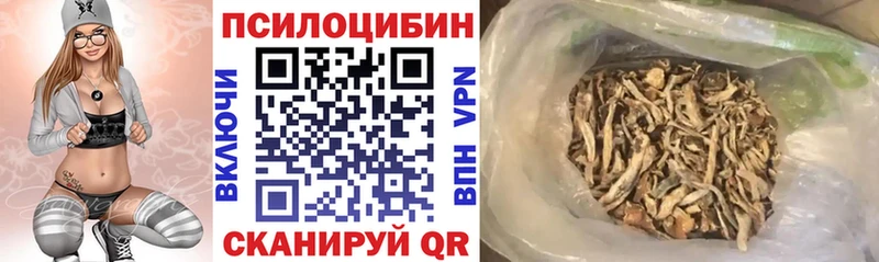 Галлюциногенные грибы мицелий Купить закладки Новороссийск